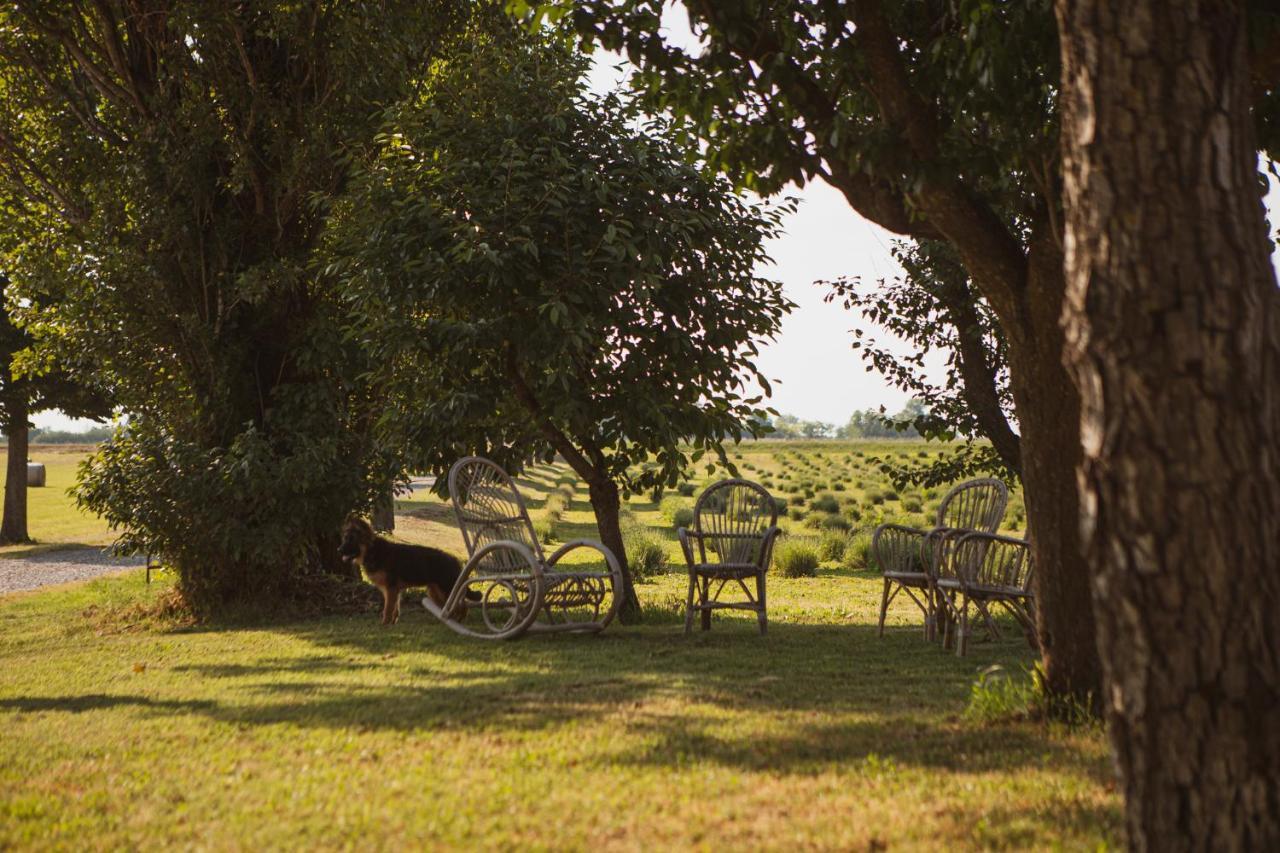 Agriturismo Il Capitolo Carpaneto Piacentino Exterior photo